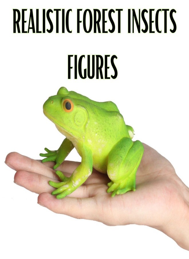 Mallexo مجموعة مجسمات حشرات الغابة الواقعية من ماليكسو | 12 قطعة من ألعاب حيوانات الغابة المصغرة للأطفال من عمر 3 سنوات فما فوق، تشمل الزواحف والحشرات والعناكب والفراشات، هدية مثالية لأعياد ميلاد الأولاد والبنات. - Image 5